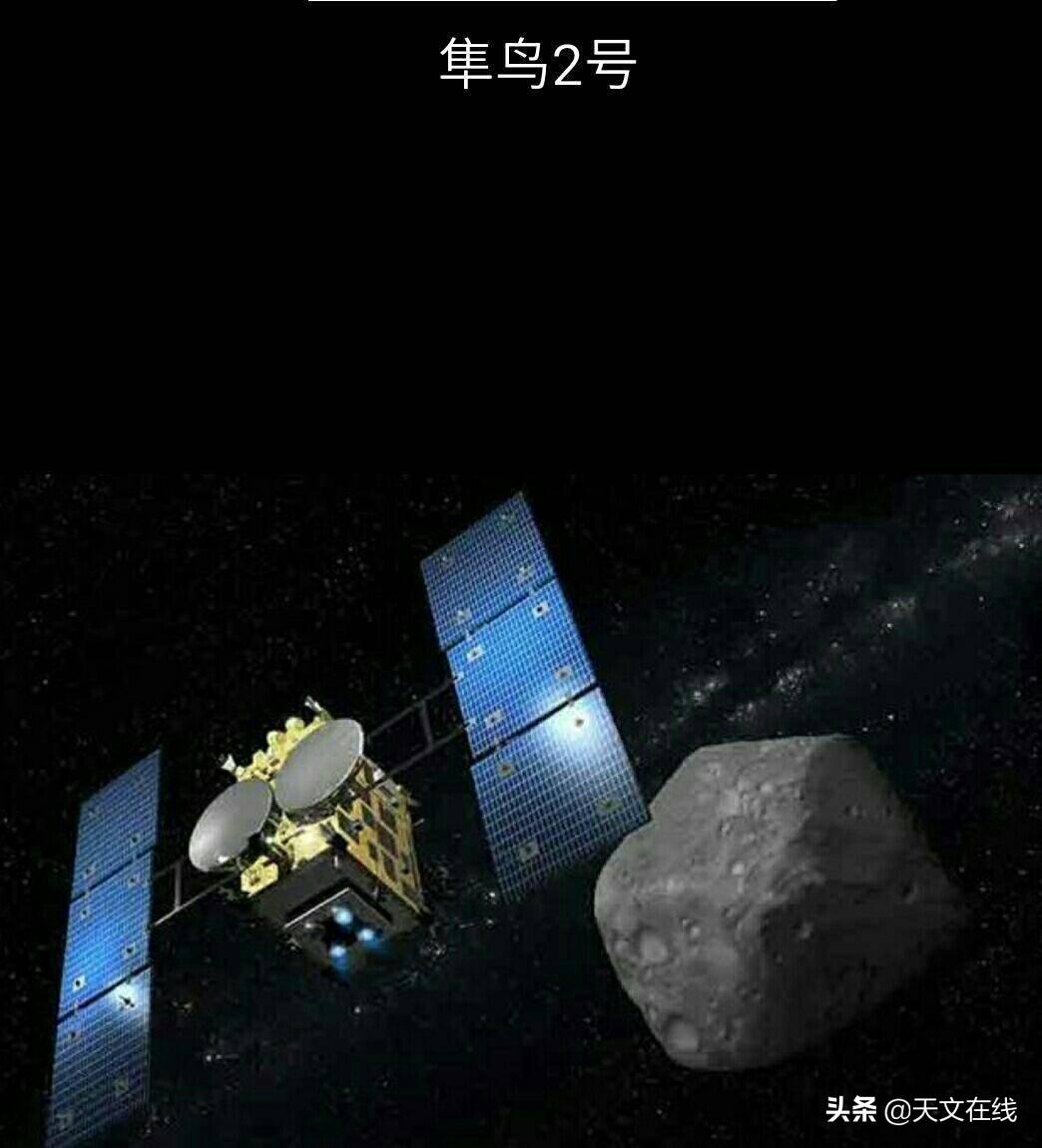 一本万利四五来,林中高手王中王打一生肖的警惕虚假宣传-全面释义、时代解答解释落实